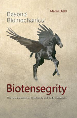 Beyond Biomechanics - Biotensegrity