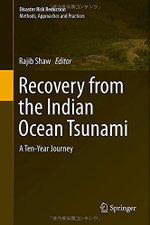 Recovery from the Indian Ocean Tsunami