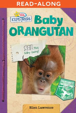 Baby Orangutan