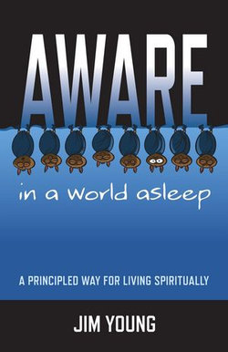 Aware In A World Asleep: A Principled Wa
