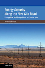 Energy Security along the New Silk Road