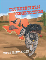 Thunderstorm Comes to Texas