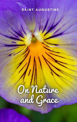 On Nature and Grace