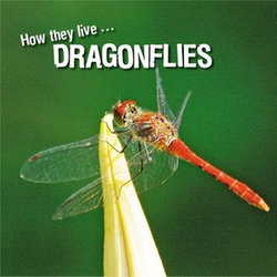 How they live... Dragonflies