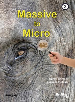 Massive to Micro Massive to Micro