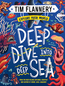 Deep Dive into Deep Sea