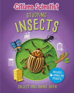 Studying Insects