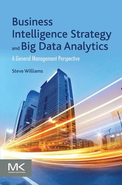 Business Intelligence Strategy and Big Data Analytics Business Intelligence Strategy and Big Data Analytics