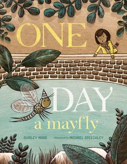 One Day a Mayfly
