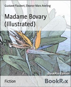 Madame Bovary (Illustrated) Madame Bovary (Illustrated)