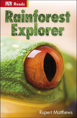 Rainforest Explorer