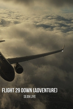 Flight 29 Down