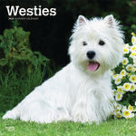 West Highland White Terriers 2026 12 X 24 Inch (Hanging) Monthly Square Wall Calendar Plastic-Free