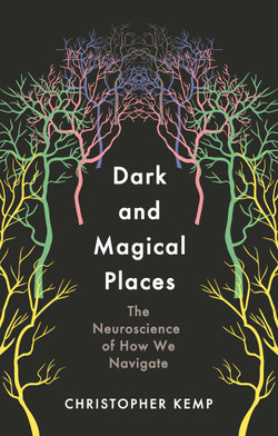 Dark and Magical Places