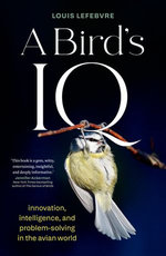 A Bird’s IQ