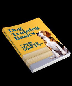 Dog Training Basics