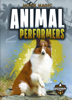 Animal Performers