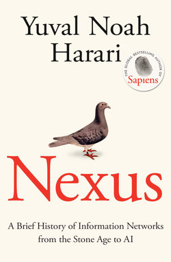 Nexus Nexus