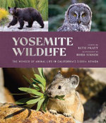 Yosemite Wildlife