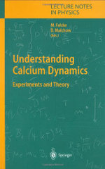 Understanding Calcium Dynamics