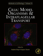 Cilia: Model Organisms and Intraflagellar Transport