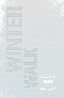 Winter Walk