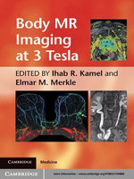 Body MR Imaging at 3 Tesla