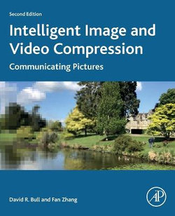 Intelligent Image and Video Compression