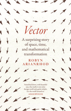 Vector Vector