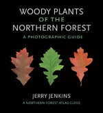 Woody Plants of the Northern Forest