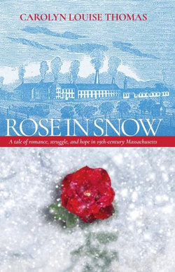 Rose in Snow