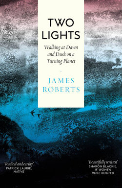 Two Lights Two Lights