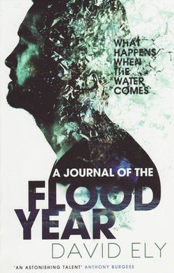 A Journal Of The Flood Year