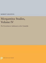 Morgantina Studies, Volume IV