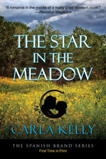 The Star in the Meadow