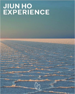 Jiun Ho : Experience