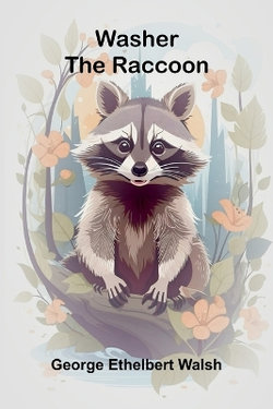 Washer The Raccoon Washer The Raccoon