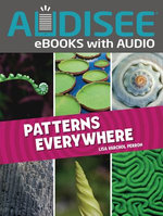 Patterns Everywhere