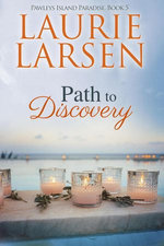 Path to Discovery
