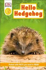 Hello Hedgehog