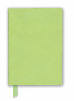 Pale Mint Green Artisan Notebook (Flame Tree Journals)