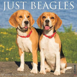 Just Beagles 2020 Wall Calendar (Dog Breed Calendar)