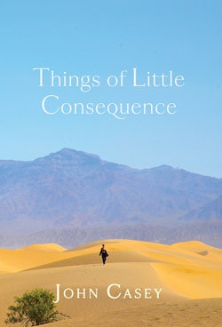 Things of Little Consequence