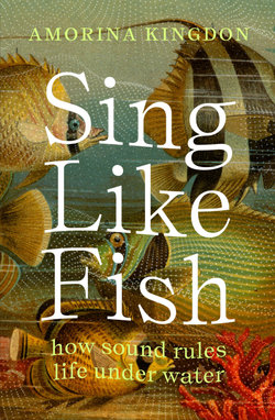 Sing Like Fish Sing Like Fish