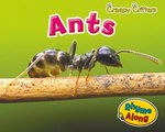 Ants