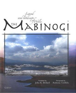 The Mabinogi