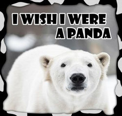 I Wish I Were A PANDA I Wish I Were A PANDA