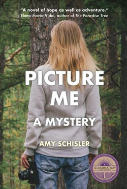 Picture Me, A Mystery