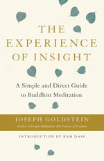 The Experience of Insight The Experience of Insight