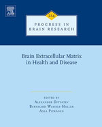 Brain Extracellular Matrix in Health and Disease